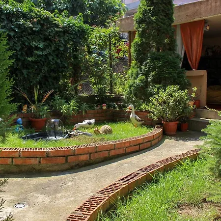 вероника Pensionat