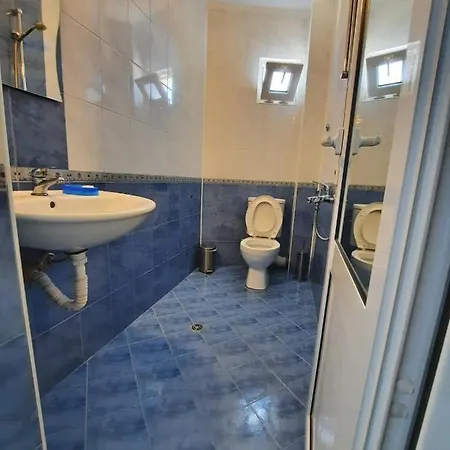 вероника Pensionat